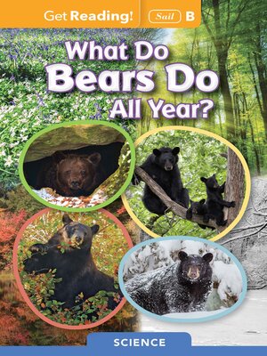 cover image of What Do Bears Do All Year?
